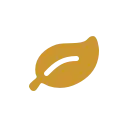 icon leaf